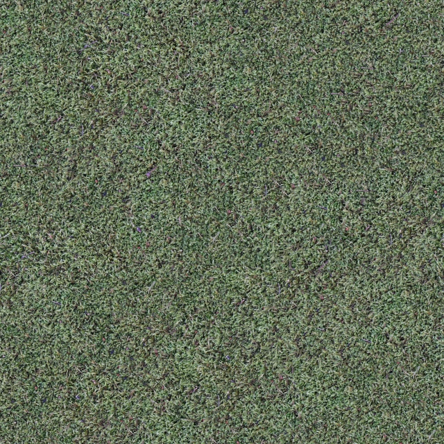 an image of a background of green grass