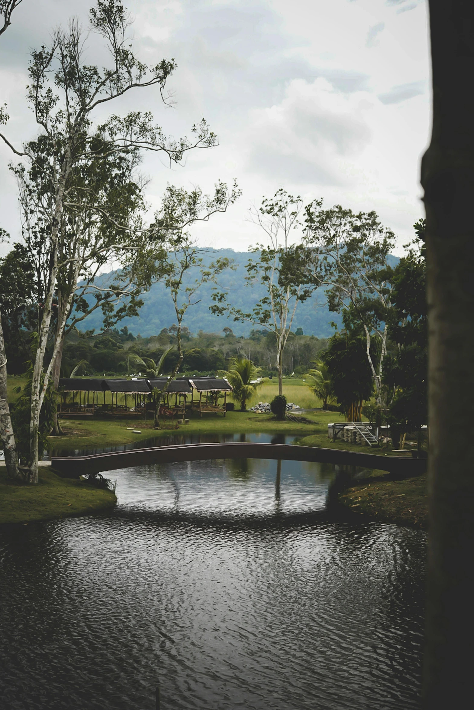 a lake is in the middle of an area with trees