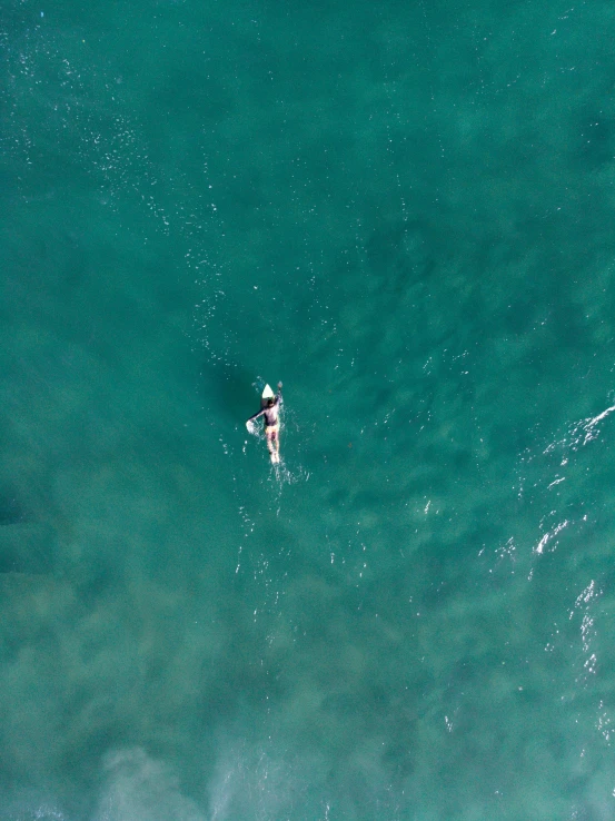 two people in the ocean paddling on their boards