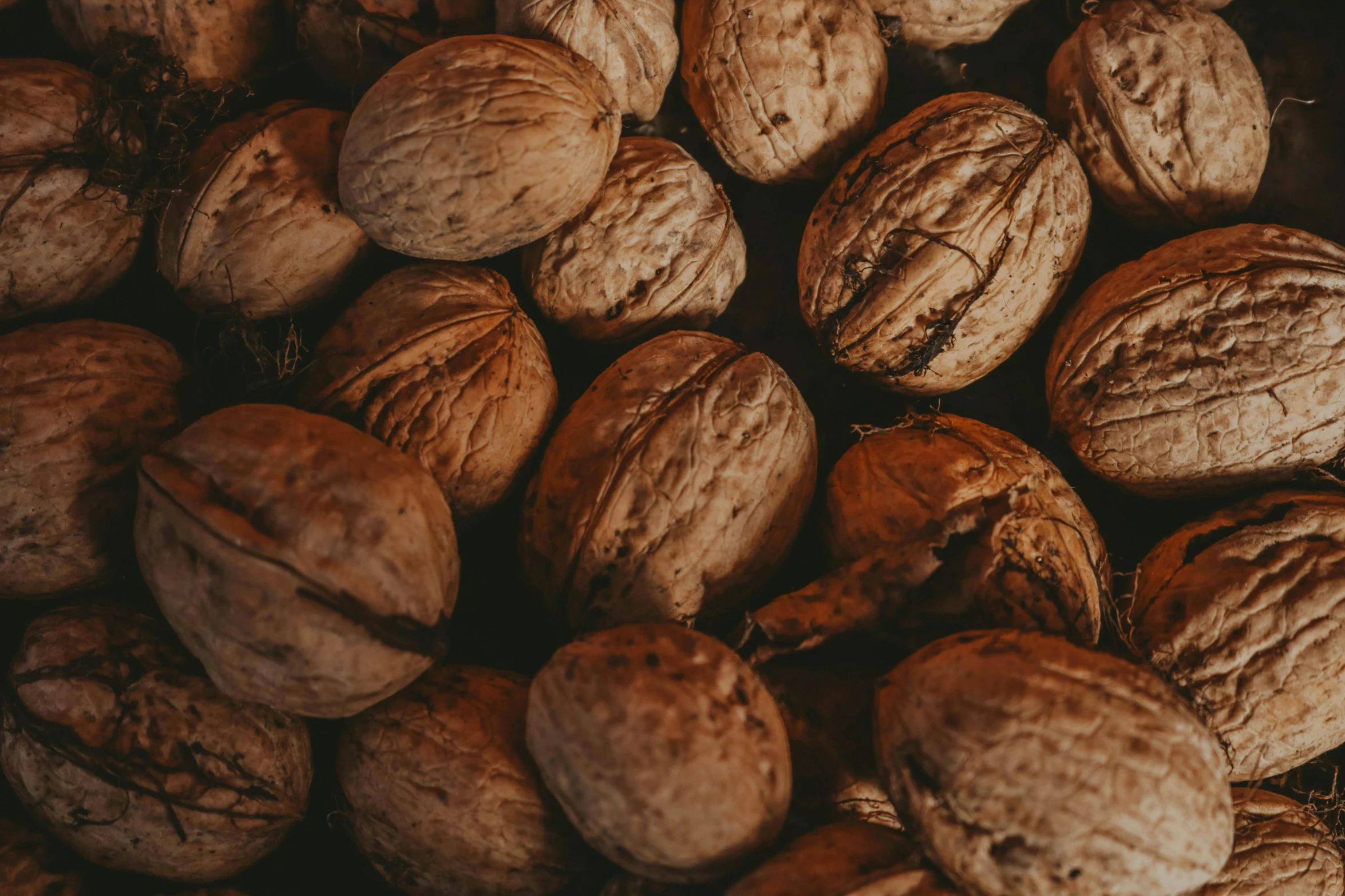 nuts being dried together for consumption in a basket