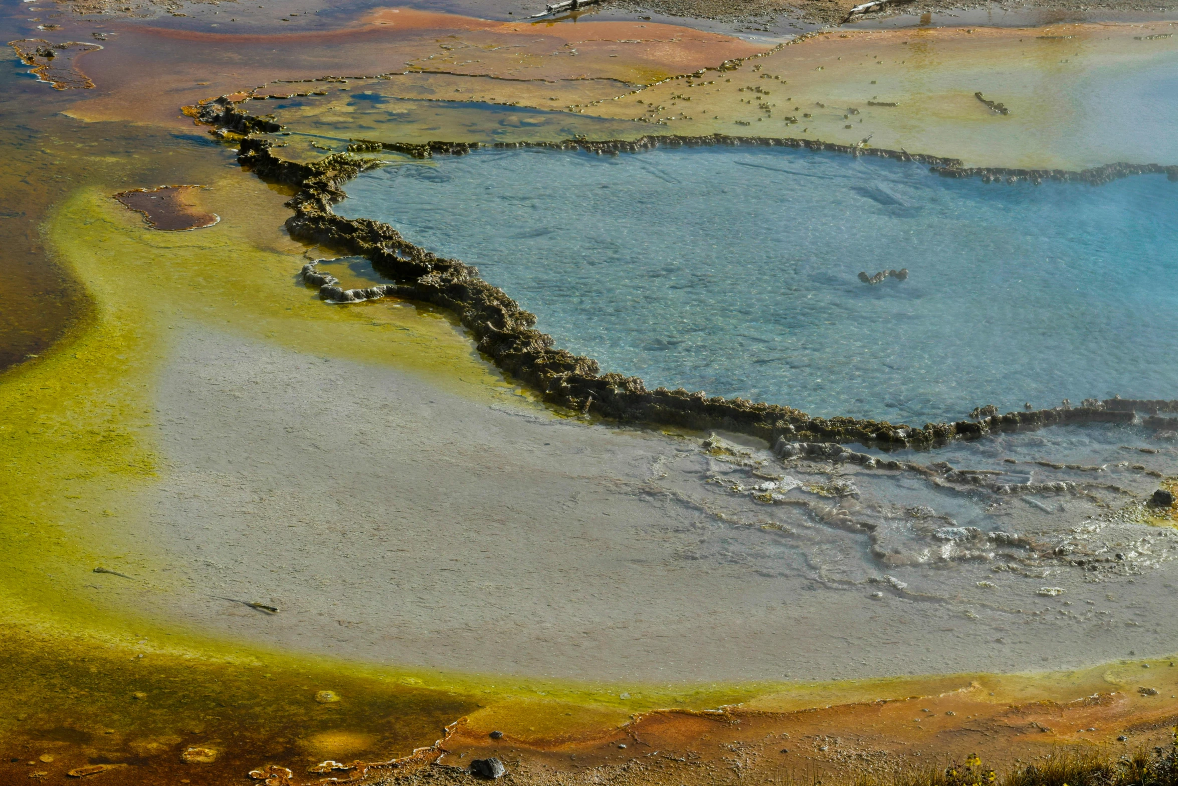 a small body of water with yellow algae in the water