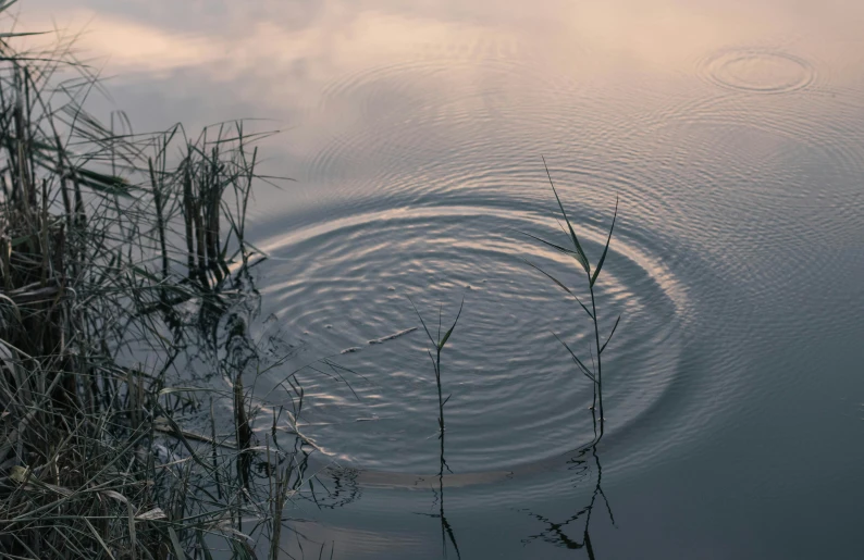 an image of an object going down the water