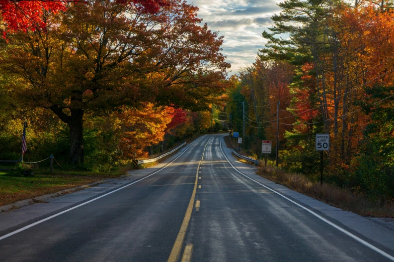 an empty road and some trees on both sides