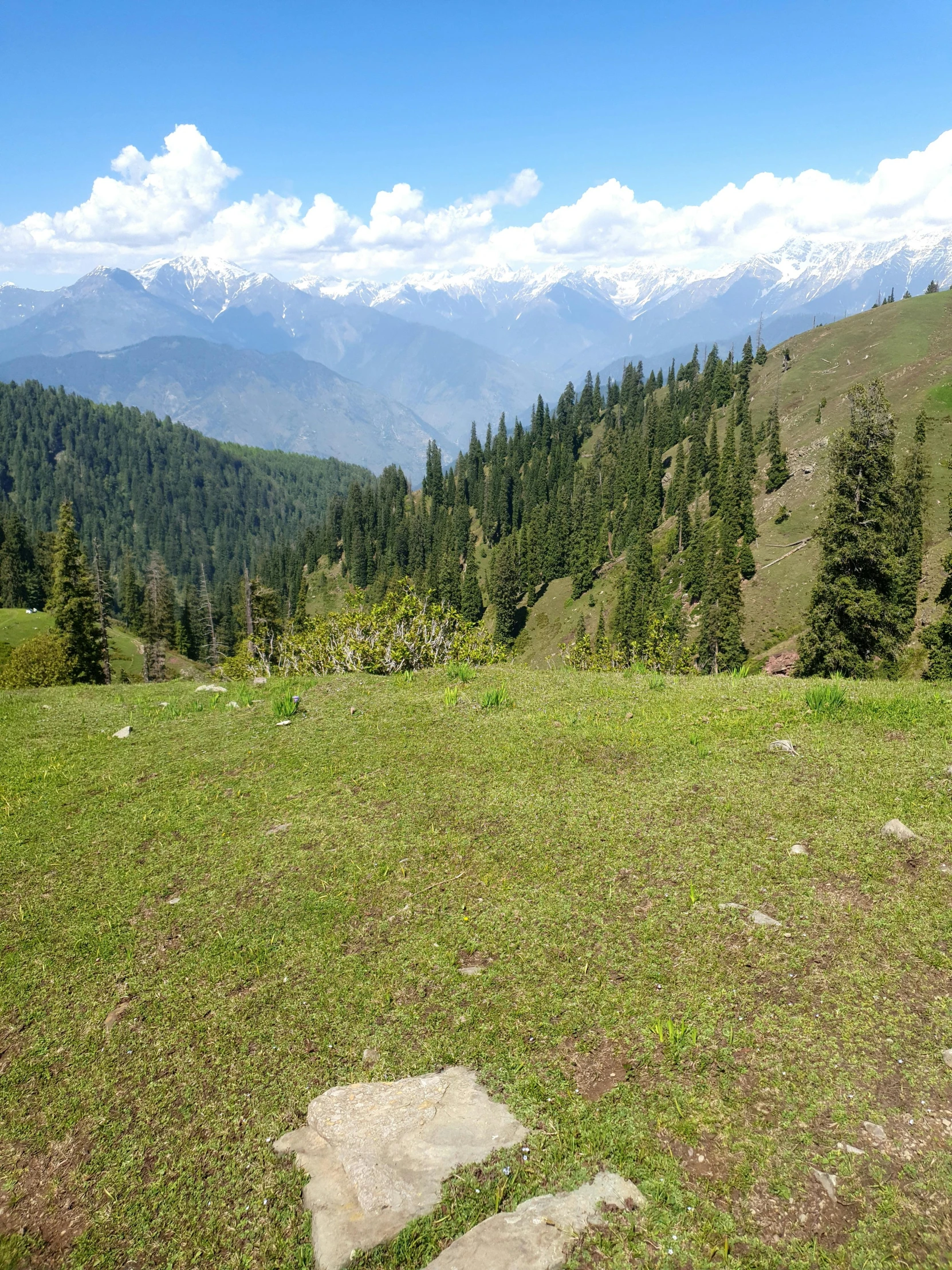 green mountains are behind a field with a trail