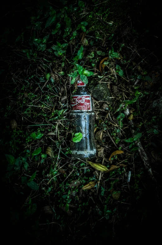 a cup in the grass with a green leaf around it