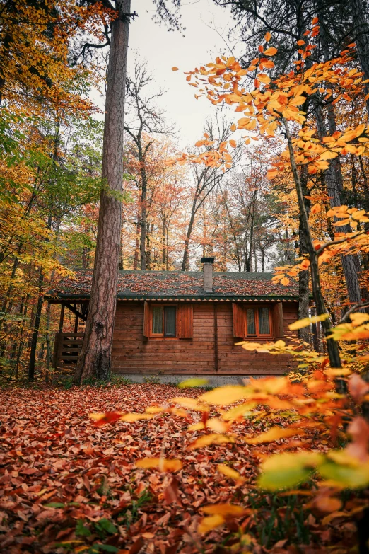 an old log cabin in the fall leaves