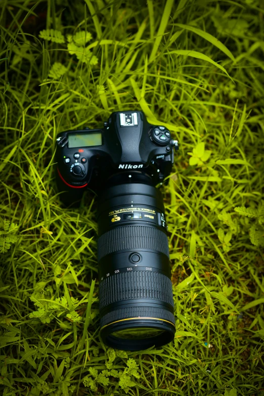 a camera and a lens in the grass