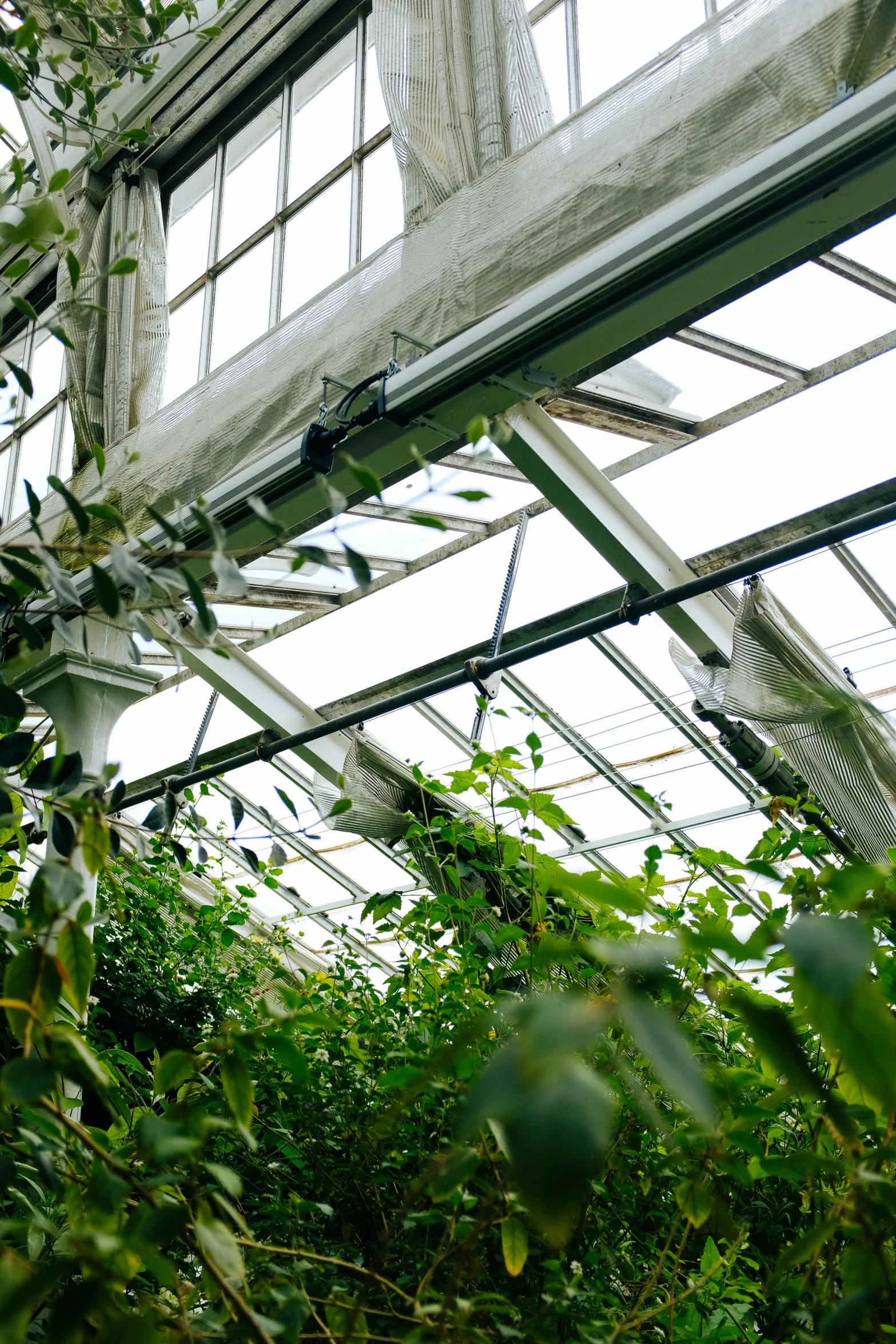 a view of inside a greenhouse from a high floor