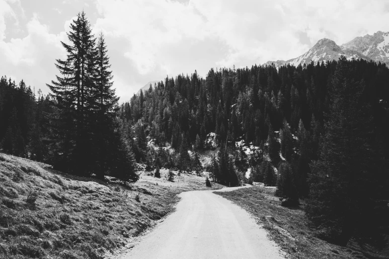 a dirt road passing by trees on a hill