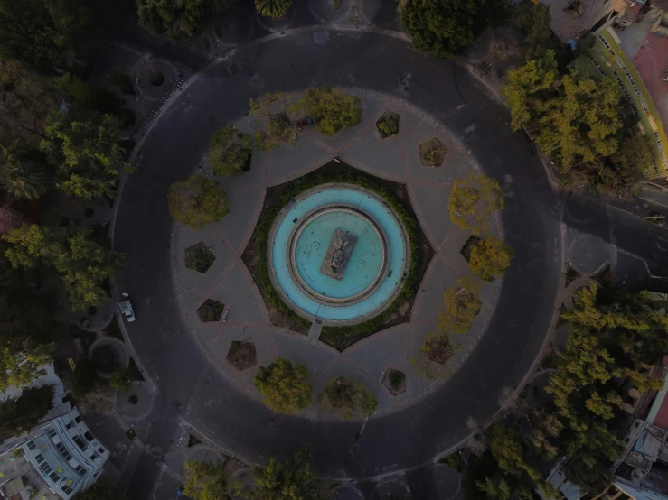 top view of a park with large blue flowers and lots of greenery