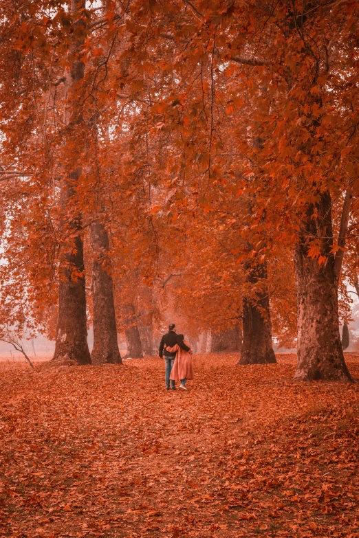 a couple emcing while standing in a park full of leaves