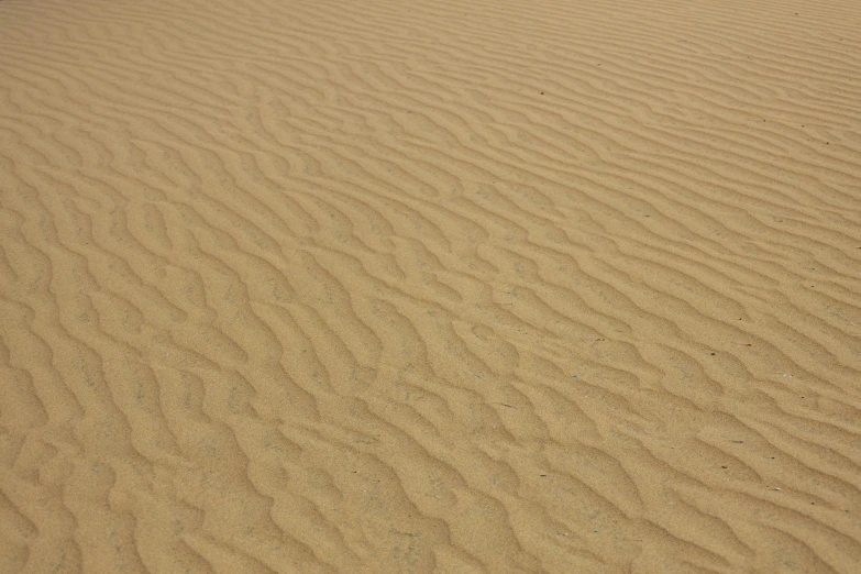 a large sand dune with many dunes and sp grass