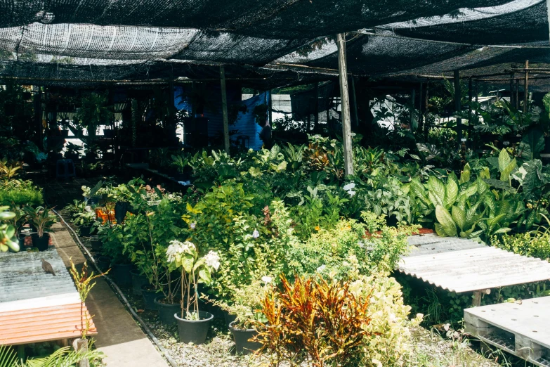 a very large covered patio with many tables