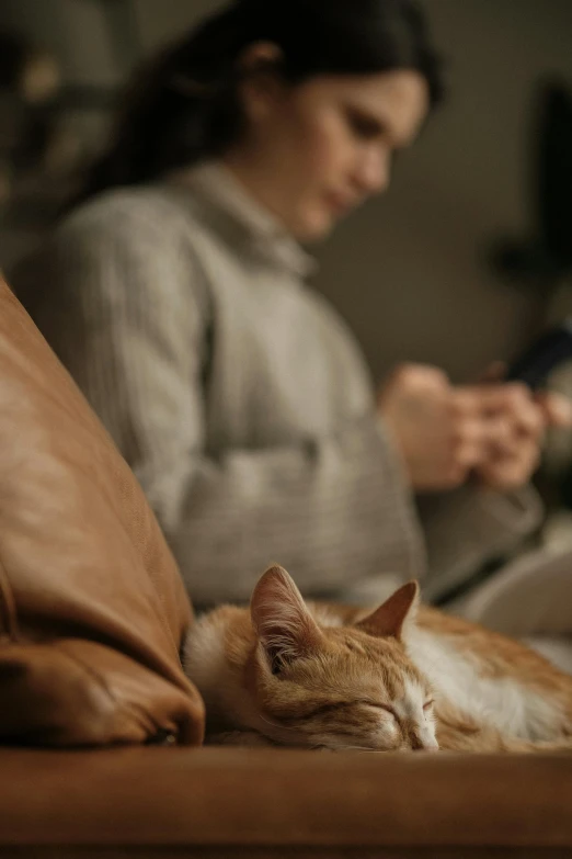 a cat sleeping on a couch with a woman looking at her phone