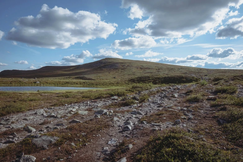 the water is still running out on the hillside