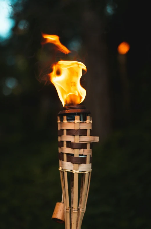 an outdoor fire burner on an isolated log