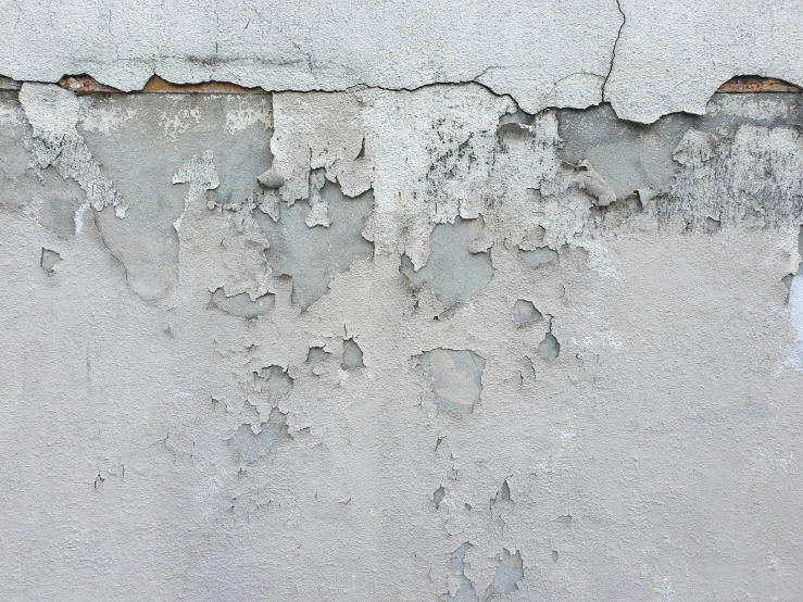 close up of paint on a wall with dirt and dirt growing