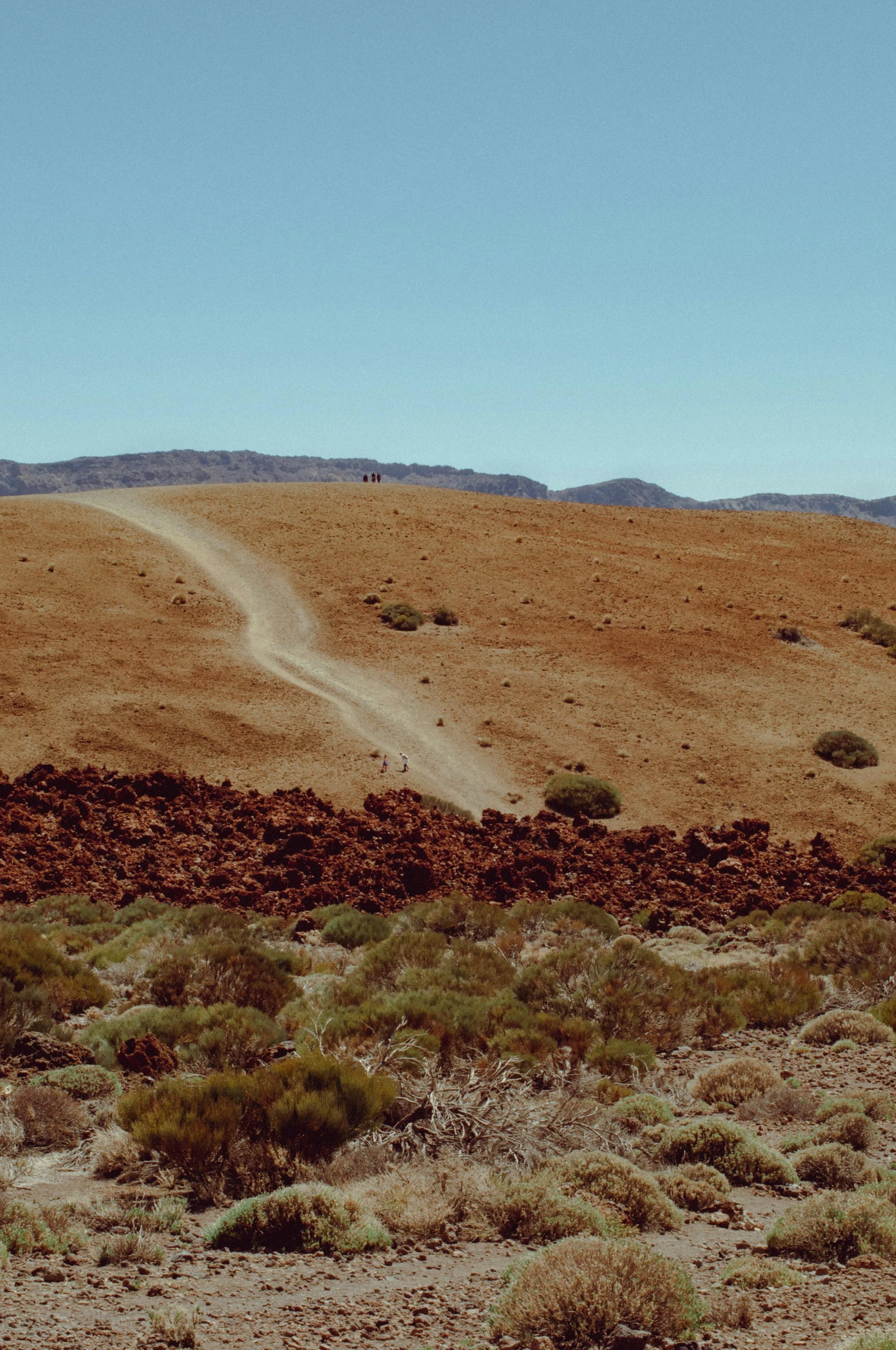 a ze walking along a desert landscape in africa