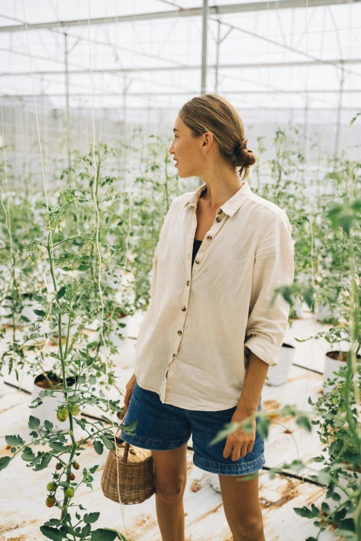 a woman is standing next to a small tomato plant in a greenhouse