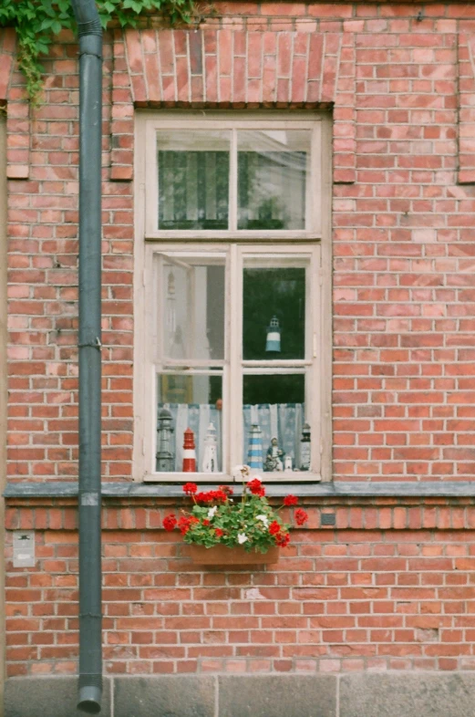 a window with flowers, bottles and bottles behind it