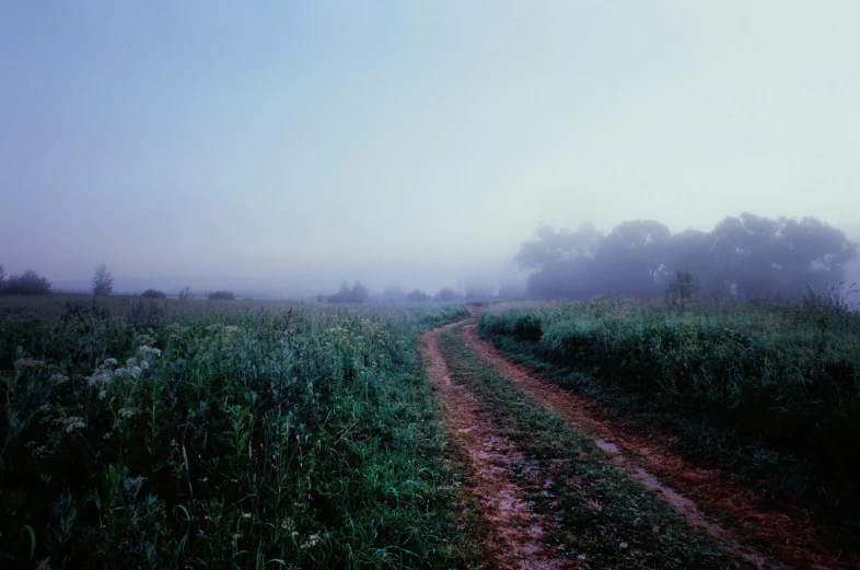 a foggy and dirt road in an open field