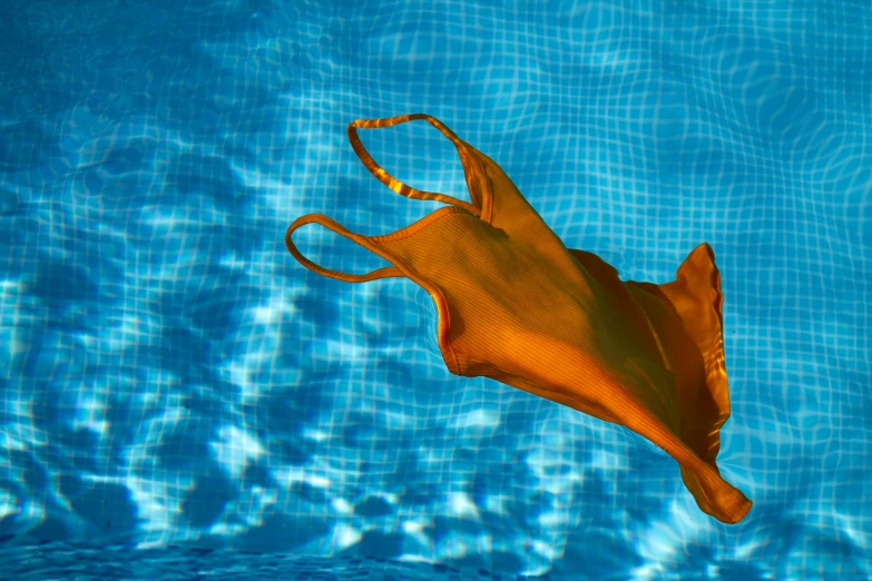 an orange fish swims in a blue pool