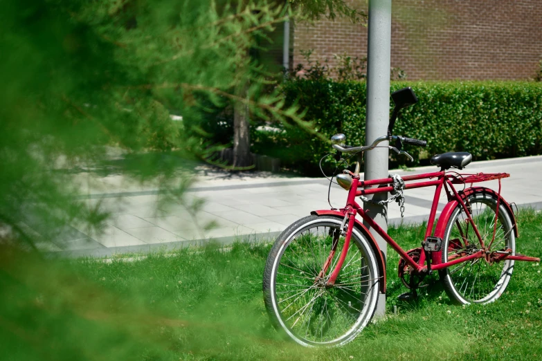 red bike parked in the green grass on a sidewalk