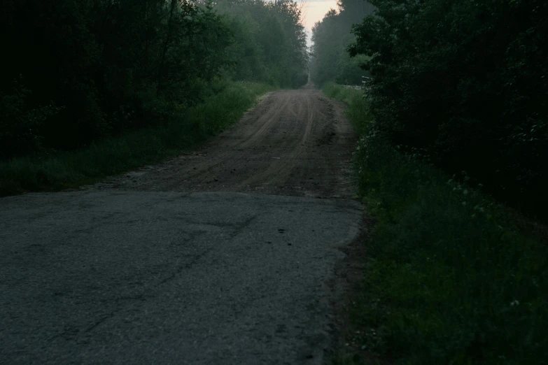 dirt road lined with lush green trees and grass