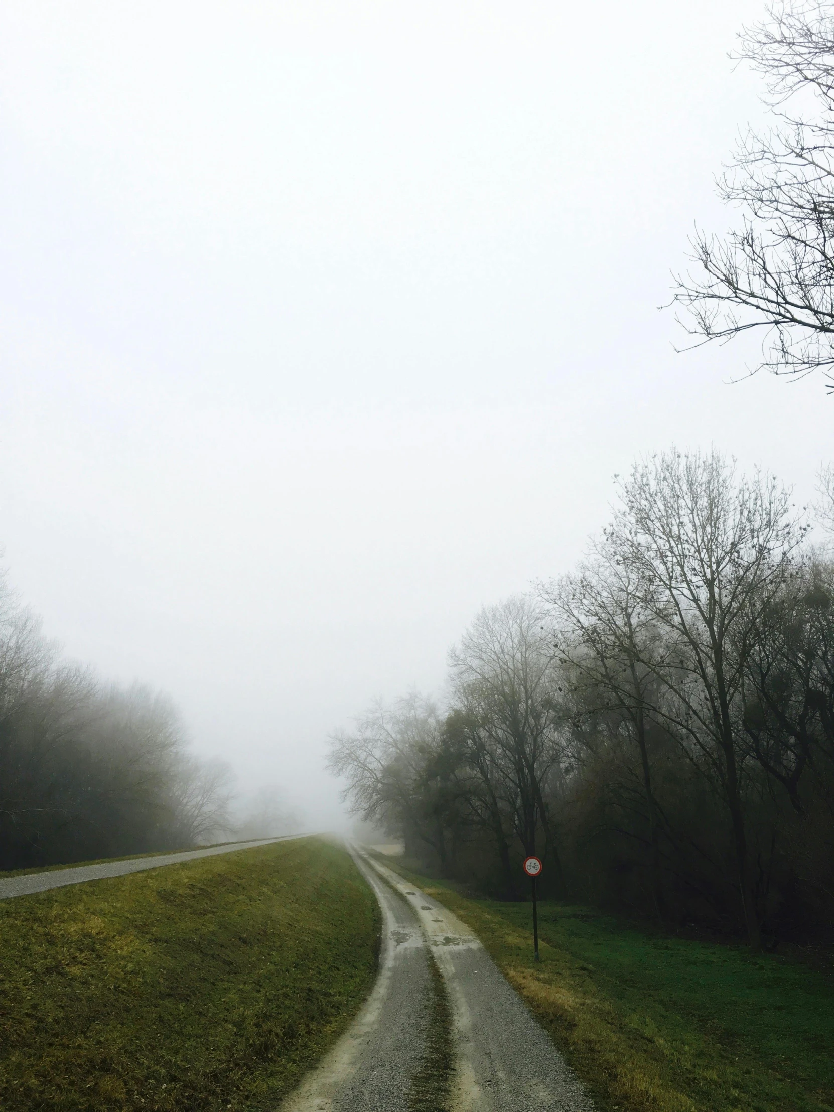 a foggy road with a traffic sign on the side of it