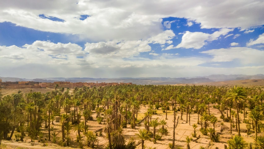 a picture of a very big, empty tropical area