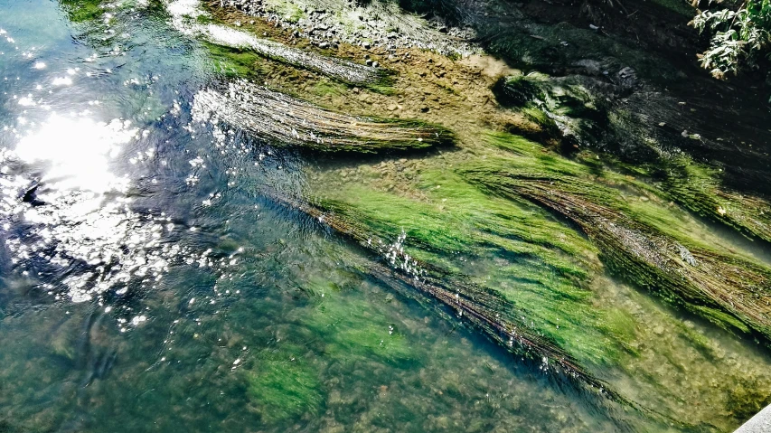 a river surrounded by rocky shoreline with green grass