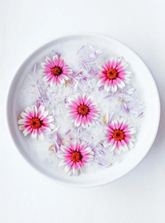 pink and white flowers in a bowl of water