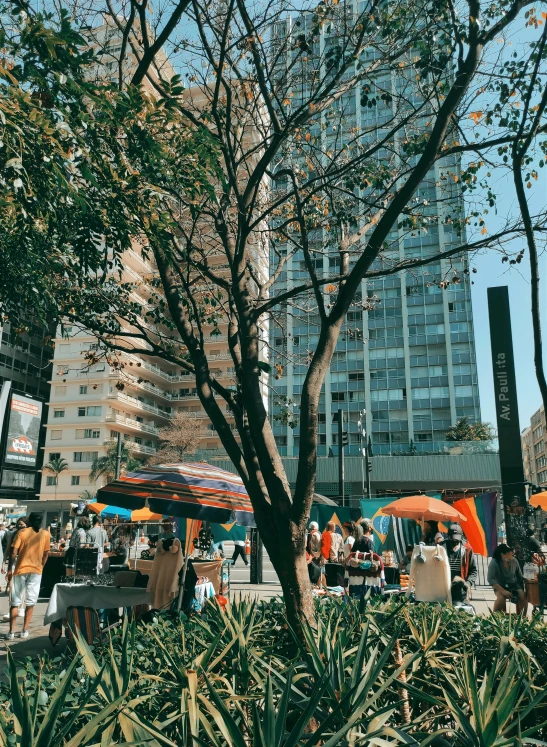 people are gathered on the lawn in a city with tall buildings