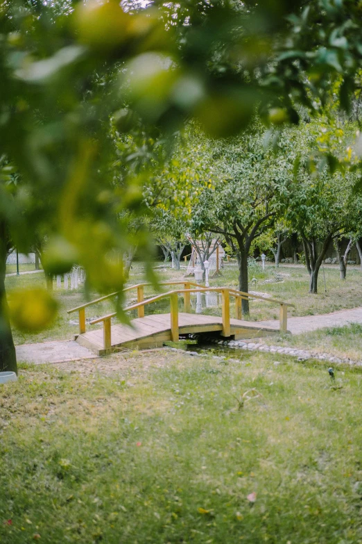 there is a small wooden bridge that is in the park