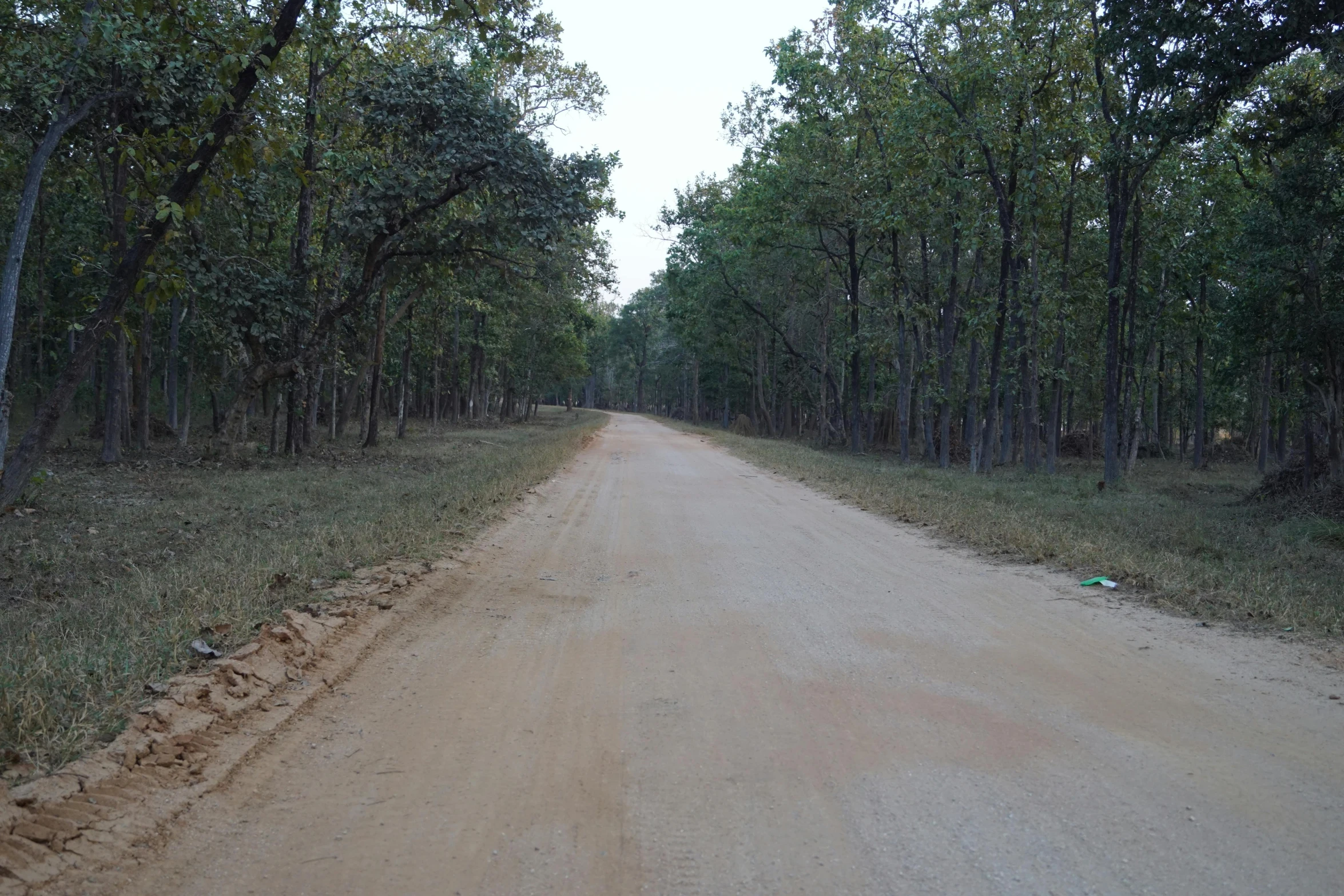 the gravel road is next to the wooded area