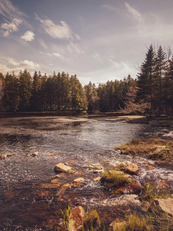 a river with some rocks by it and some trees