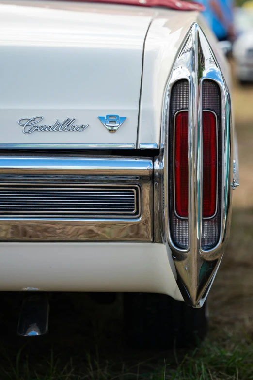 a closeup of an old car parked in grass