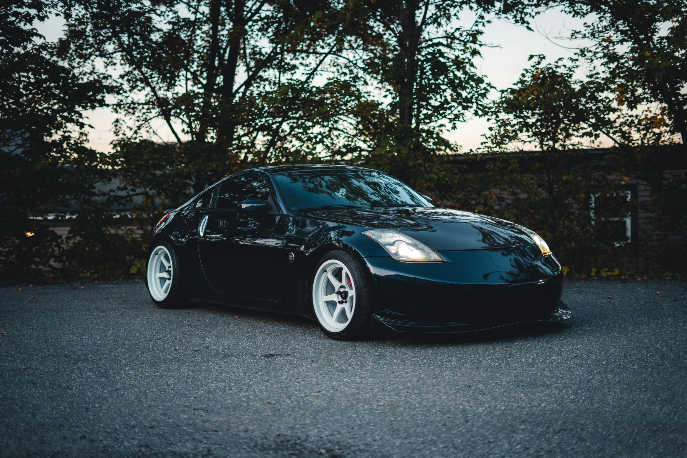 a parked black sports car next to a tree