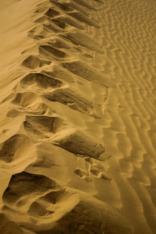 lines made by sand create interesting patterns on the beach