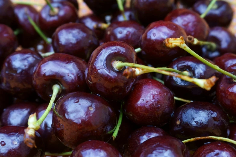 a close up of some red plums with green stems