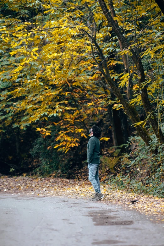 a person standing on the edge of a leaf covered road