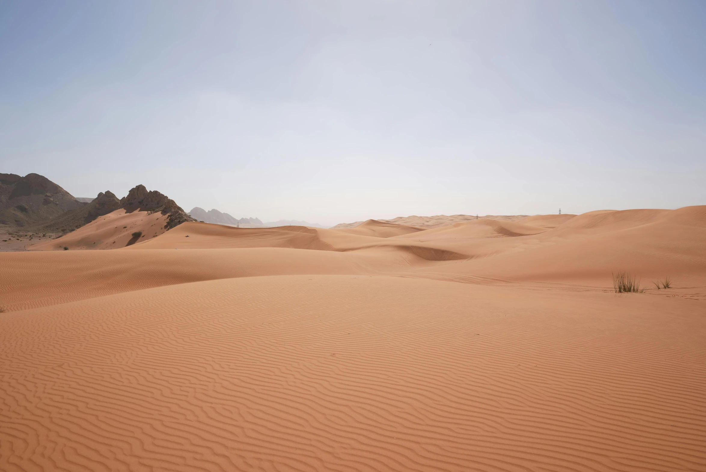 a group of sand dunes in the desert