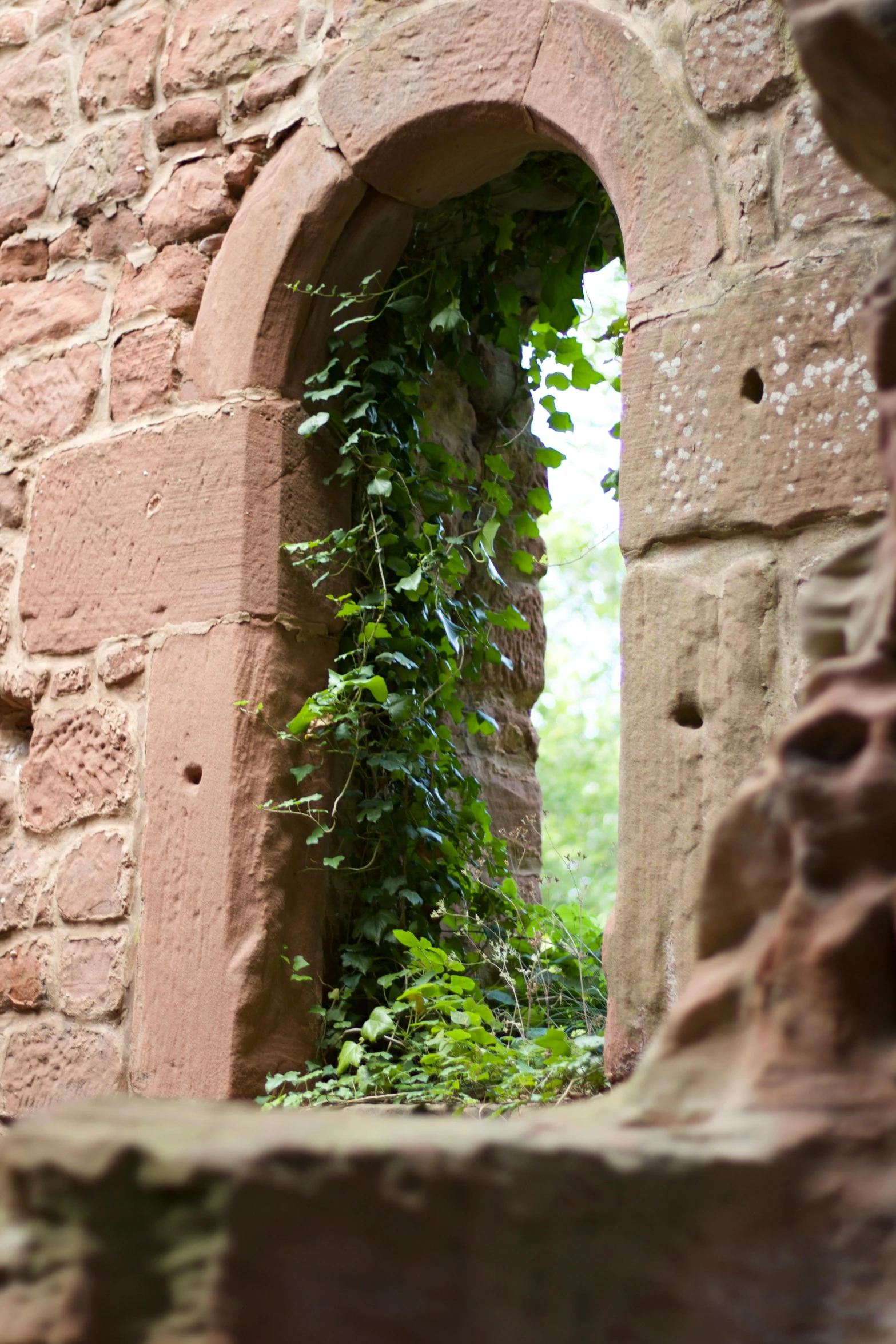 a doorway with vines growing up the outside