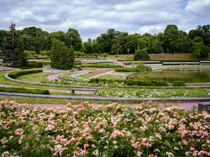 a flower filled field with flowers next to trees