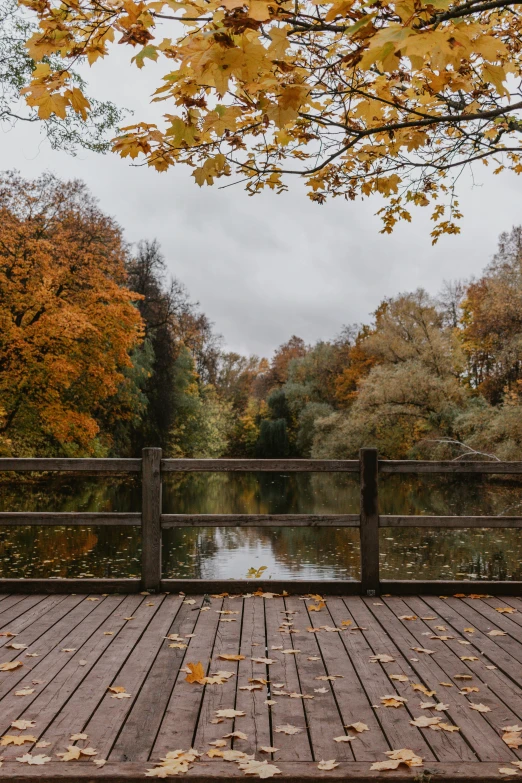 a wood covered platform over a body of water