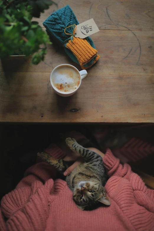 an animal lays next to a coffee cup on the table