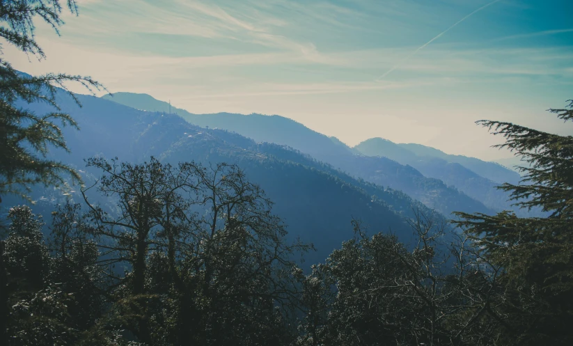 mountains with no leaves and trees in the foreground