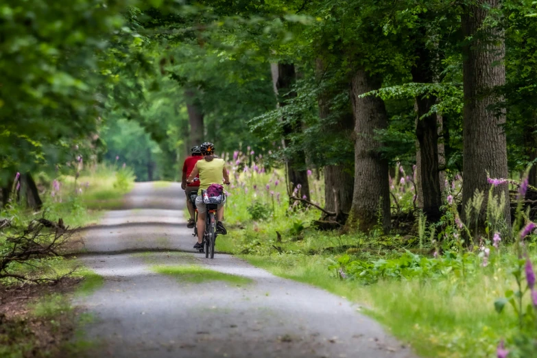 two people are riding bicycles in a wooded area