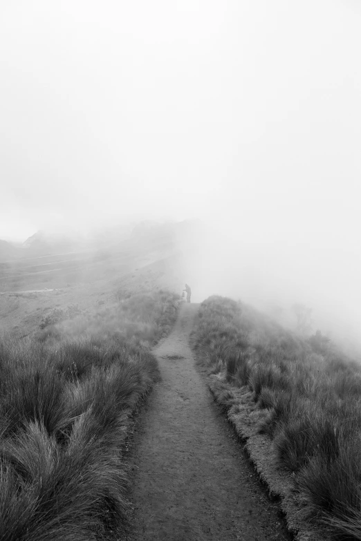 a path that is surrounded by lots of fog