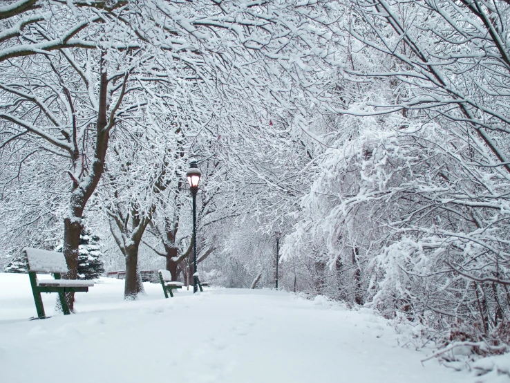 a snow covered park with benches, lights and trees